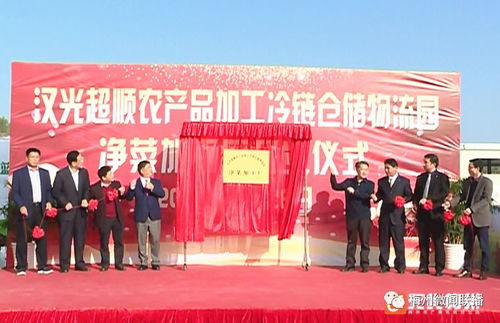 五華農產品冷鏈倉儲物流園凈菜加工廠投產，助推農產品初加工服務升級